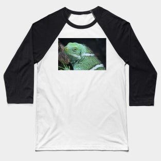 Fijian Crested Iguana Baseball T-Shirt